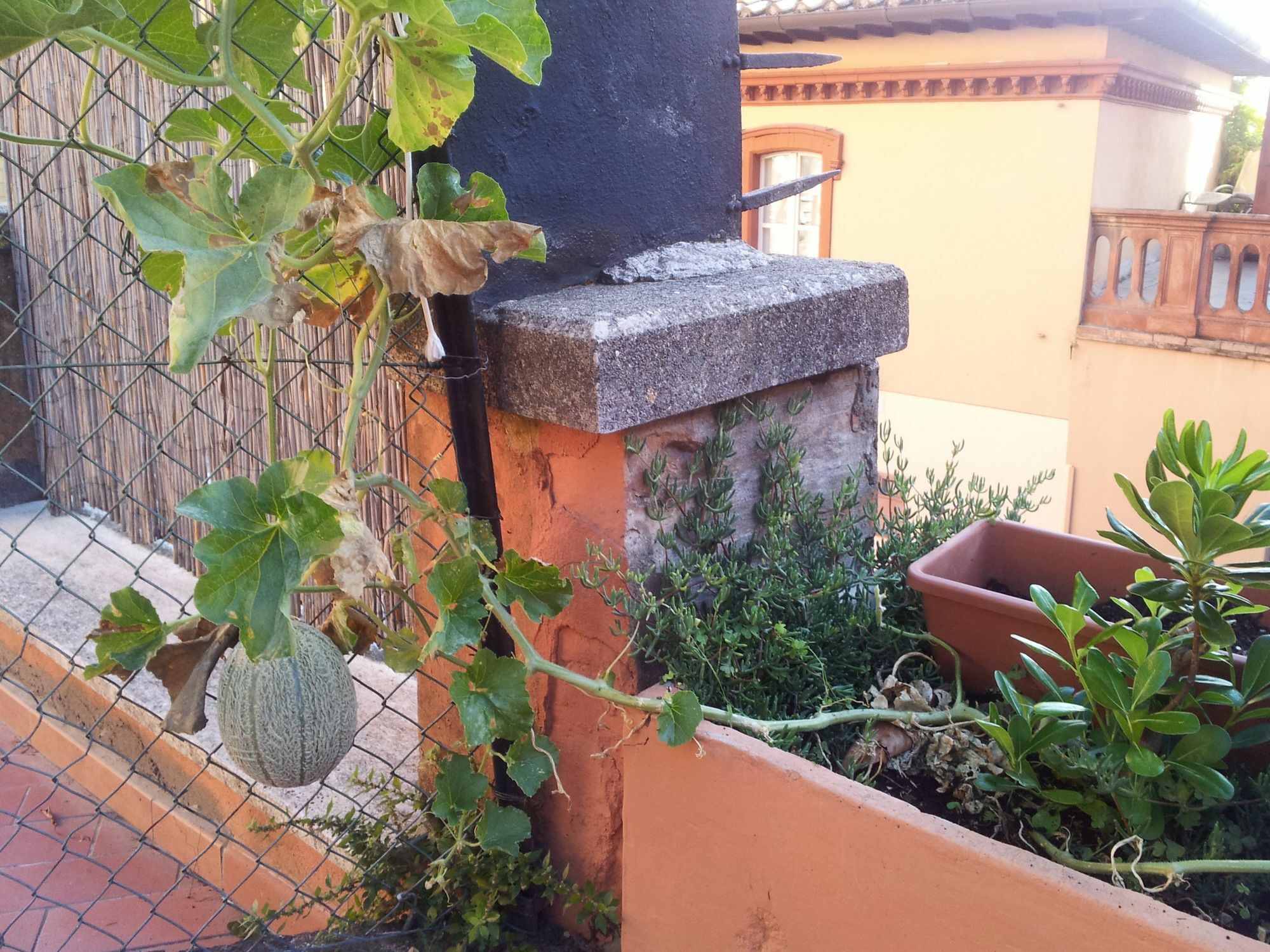 Al Giardino Di Alice Bed and Breakfast Perugia Eksteriør billede